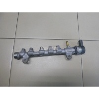 Рейка топливная (рампа) Nissan Pathfinder (R51) (2005 - 2014) 1752000Q2L