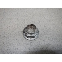 Гайка передней ступицы Hyundai-Kia Sorento (2002 - 2009) 495512G100