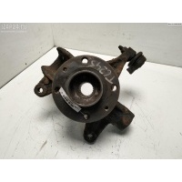 Ступица передняя левая Renault Scenic II (2003-2009) 2005 8200365658