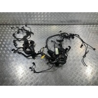 Проводка двигателя Mercedes-Benz S W221 2007 A2730106602