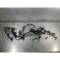 Проводка двигателя Mercedes S W221 2006 A2730100002