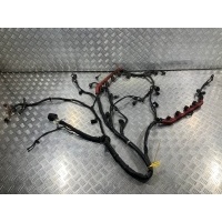 Проводка двигателя Audi Q7 4L 2008 4L0971610AG
