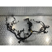 Проводка двигателя Audi A8 D3/4E 2009 4E1971713CB