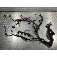 Проводка двигателя Audi A8 D3/4E 2006 4E1971713CB