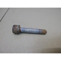 Болт суппорта VAG Passat [B6] (2005 - 2010) N91081501