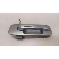 Ручка двери передней наружная левая Nissan X-Trail (T30) (2001 - 2006) 806078H710