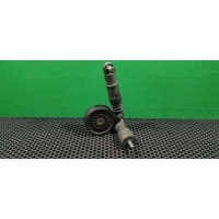 Натяжитель ремня генератора Volkswagen Passat B5 2002 038 145 283