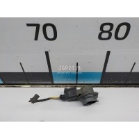 Патрон указателя поворота VAG Octavia (A5 1Z-) (2004 - 2013) 1Z0941669