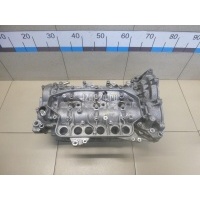 Головка блока Nissan FX/QX70 (S51) (2008 - 2017) 1109100QAA