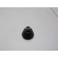 Втулка (кузов наружные элементы) Nissan Murano (Z51) (2008 - 2015) 287161BA0A