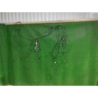 проводка Mercedes-Benz Actros 2012 A0005401533,0005401533