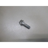 Болт Nissan M/Q70 (Y51) (2010 - 2019) 081B42405M