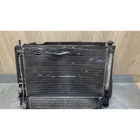 Кассета радиаторов Chevrolet Captiva (C100) 2006-2011 2007 20777046