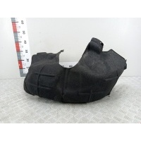 Подкрылок (защита крыла) задний правый Volkswagen Passat 6 (2005-2010) 2010 ,3C0810972B9B9