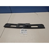 Накладка подсветки номера Exeed TXL 2020- 609000103AA