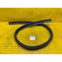 Уплотнитель Nissan Terrano D10 2022 7685100Q1E