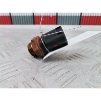 Датчик температуры охлаждающей жидкости Skoda Fabia 1 (1999-2007) 2001 1J0359481A,1J0959481A