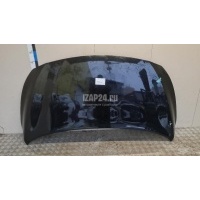 Капот Hyundai-Kia Carnival 2014 66400A9000