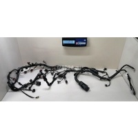 Проводка (коса) Great Wall Jolion 2021 4001101XST10B