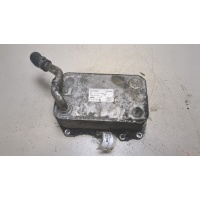 Теплообменник Audi A8 (D3) 2007-2010 2008 057117021M