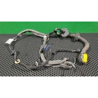 Проводка двери задней правой Renault Megane 3 2011 241267814R