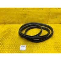 Уплотнитель двери Renault Duster 2021 769246286R