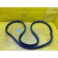 Уплотнитель двери Renault Duster 2021 769234886R
