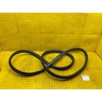 Уплотнитель двери Renault Duster 2021 808321467R