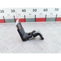 Петля двери передней правой Audi A4 B5 (1994-2001) 1999 ,8D0831412F