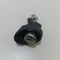 Вставка замка багажника Renault Logan (2005 - 2014) 905020198R