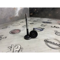 Клапан выпускной Volkswagen Transporter 2009 038109611F