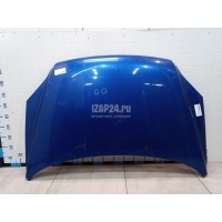 Капот Hyundai-Kia Sportage (2004 - 2010) 664001F010