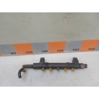 Рейка топливная (рампа) Nissan Primera P12 2002 175208H801