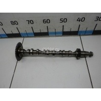 Распредвал впускной VAG Allroad quattro (2006 - 2012) 059109021DN