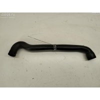 Патрубок Volkswagen Bora 2001 036103493BB