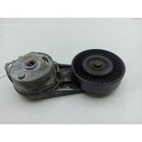 Механизм натяжения ремня, цепи Opel Vectra C (2002-2008) 2004 24430298