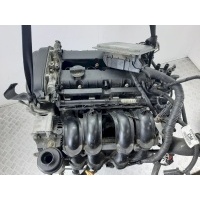Двигатель Ford Focus 2 2009 1.6 I HXDB 6R36129