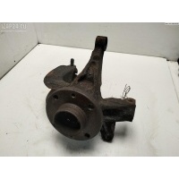 Ступица передняя левая Renault Megane II (2002-2008) 2003 8200365658