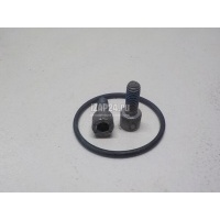 Крепежный к-кт Citroen-Peugeot 308 II 2014 1608999380