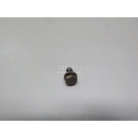 Болт BMW 6-serie F06 Grand Coupe (2011 - 2017) 07119905528