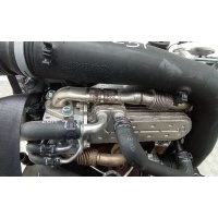 Радиатор EGR Volkswagen Touran 1 поколение (2003-2007) 2006 038131513