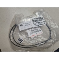 Уплотнитель молдинга передней двери Lexus LX 570 URJ200 2007- 7579360030