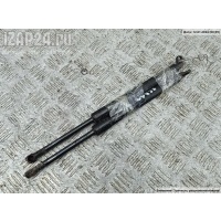 Амортизатор крышки (двери) багажника BMW 5 E39 (1995-2003) 1999 51248222913