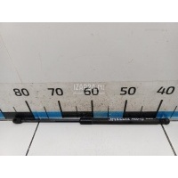 Амортизатор крышки багажника VAG A6 [C6,4F] (2004 - 2011) 4F9827552C