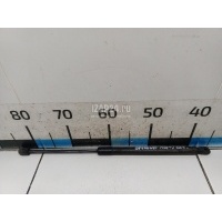Амортизатор крышки багажника VAG A6 [C6,4F] (2004 - 2011) 4F9827552C