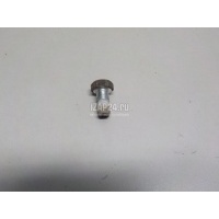 Болт суппорта Renault Sunny B12/N13 (1986 - 1990) 081842251A