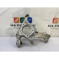 цапфа задняя (кулак) Chery Tiggo 8 Pro 2021 204000122AA