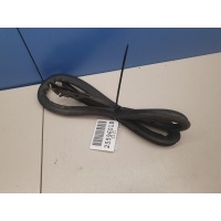 Уплотнитель двери задней левой Volkswagen Golf 7 2012-2020 5G6839699D