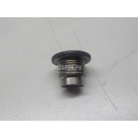 Пробка маслосливная дифференциала Nissan Pathfinder (R51) (2005 - 2014) 321034N21A