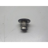 Пробка маслосливная дифференциала Nissan Pathfinder (R51) (2005 - 2014) 321034N21A